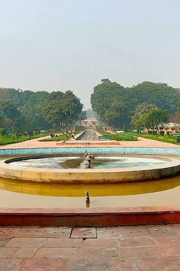 delhi-singleton.jpg
