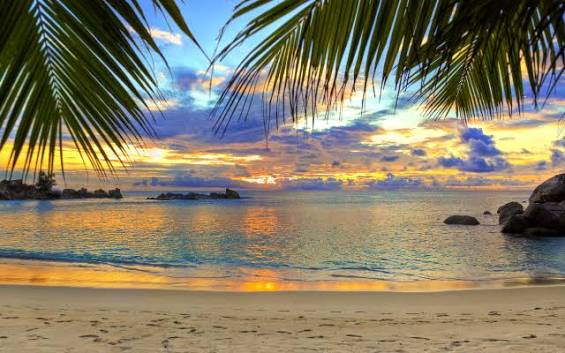 Maldives Holiday